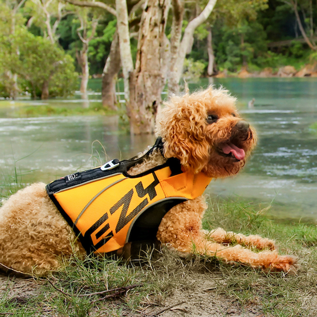 Kamizelka Ezydog Life Jacket DFD X2 Boost XL 41 kg Yellow (9346036005383) - obraz 9