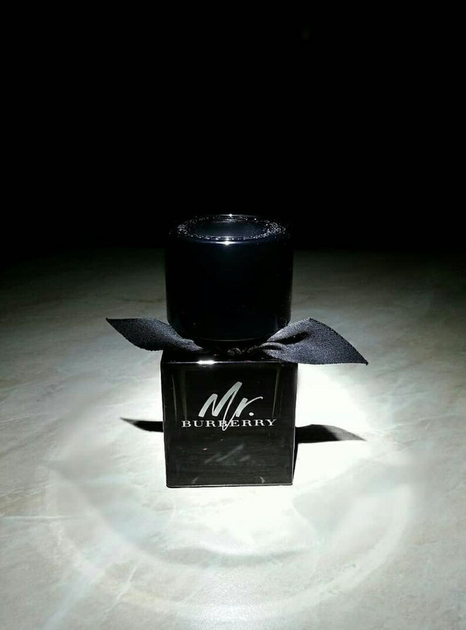 Парфумована вода для чоловіків Burberry Mr. Burberry 100 мл (3616301838210) - зображення 4
