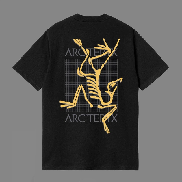 Футболка унисекс Arcteryx с логотипом на клетках размер L черного