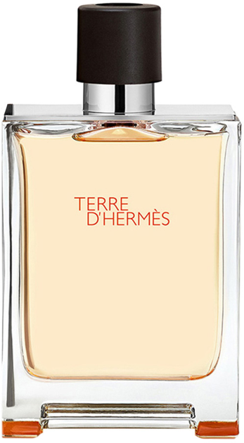 Туалетна вода для чоловіків Hermes Terre D'hermes 200 мл (3346130013457) - зображення 1