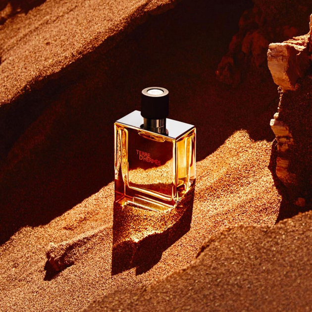 Туалетна вода для чоловіків Hermes Terre D'hermes 200 мл (3346130013457) - зображення 4