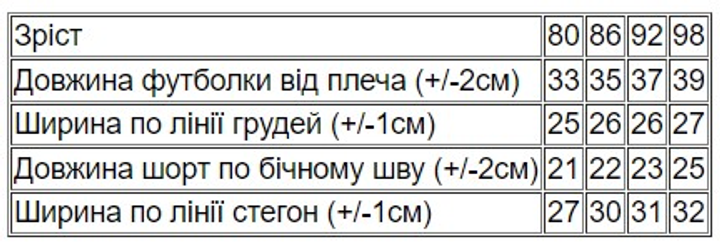 Детский летний комплект (футболка + шорты) для мальчика Носи Свое 5021-001-33-4 86 см Голубой (14602-165375) - изображение 2
