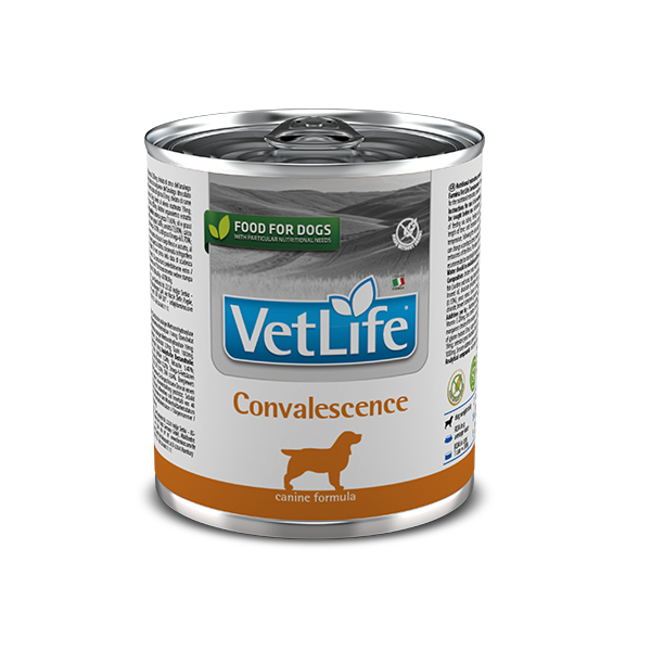 Влажный корм Farmina Vet Life Convalescence для собак, для восстановления питания и выздоровления, 300 г (*) - Фото 1 Влажный корм Farmina Vet Life Convalescence для собак, для восстановления питания и выздоровления, 300 г (*) - изображение 1