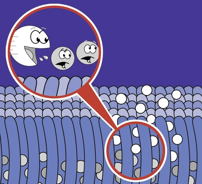 Środkek do czyszczenia dywanów Maximex Nano 500 ml (4008838936771) - obraz 5