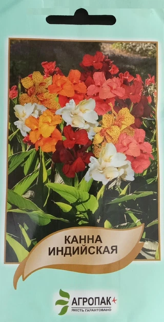 Насіння Канна індійська, 5 насінин Агропак 43483 - Фото 1 Насіння Канна індійська, 5 насінин Агропак 43483 - зображення 1