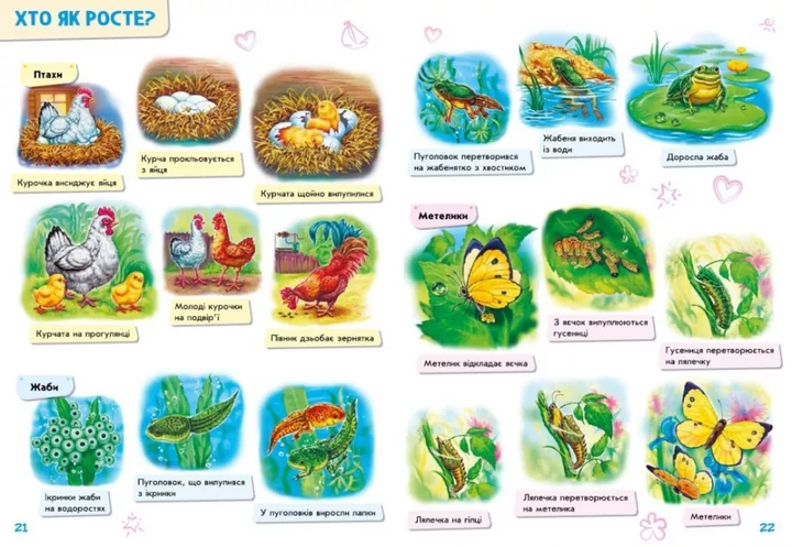 Книга Малюкові про все на світі (Укр) Ранок (9786170986092) - изображение 2
