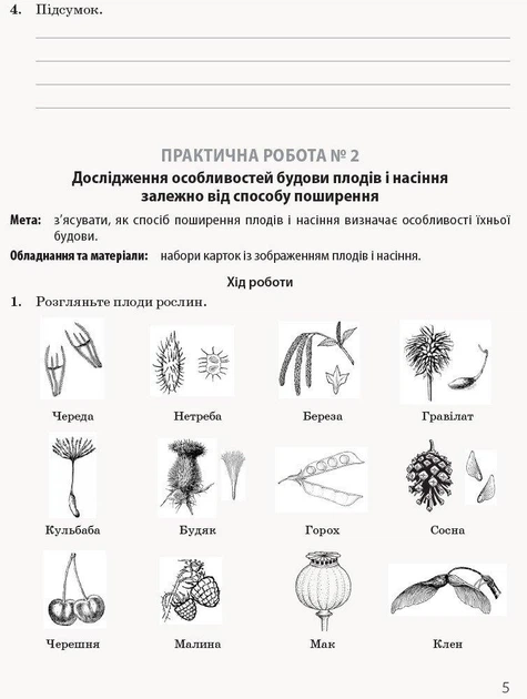 Біологія і Екологія, 11 кл., Зошит для практичних робіт. Профільний рівень - РАНОК (119778) - Фото 4 Біологія і Екологія, 11 кл., Зошит для практичних робіт. Профільний рівень - РАНОК (119778) - зображення 4