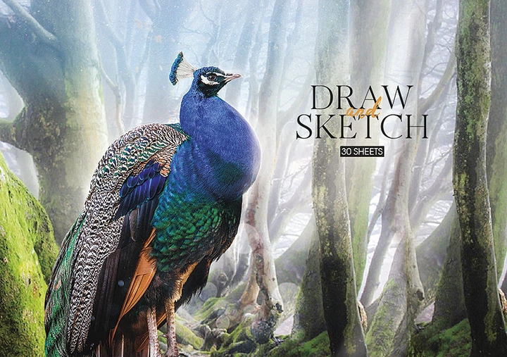 Набір альбомів для малювання 3 шт. Draw and sketch. Альбом Школярик 30 арк. А4 PB-GB-030-243 4823088200355 - Фото 2 Набір альбомів для малювання 3 шт. Draw and sketch. Альбом Школярик 30 арк. А4 PB-GB-030-243 4823088200355 - изображение 2