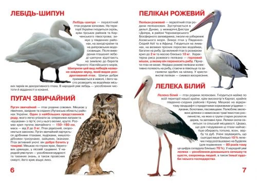 Книга "Большая книга. Животный мир Украины" (укр) - Фото 3 Книга "Большая книга. Животный мир Украины" (укр) - изображение 3