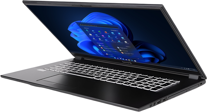 Laptop Terra Mobile 1716U (US1220795) Black - obraz 5