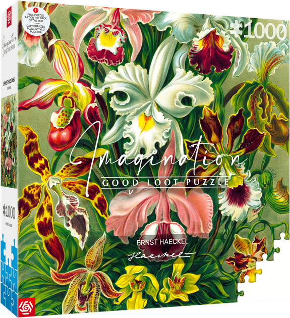 Puzzle GOOD LOOT Imagination Ernst Haeckel Orchidea / Orchid 1000 elementów (5908305247531) - obraz 1