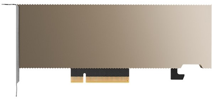 Karta graficzna PNY PCI-Ex Nvidia A2 16GB GDDR6 (128bit) (1770/12500) (TCSA2MATX-PB) - obraz 1