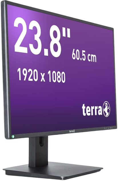 Monitor 23.8" Terra 2456W (3030206) - obraz 3