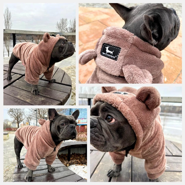 Одяг для собак "Teddy Sweatshirt FRB" . SKU 004540. Розмір XL. Your Stylish Hunter. Худі для собак для французського бульдога, мопса, спанієля, та інших. - зображення 9