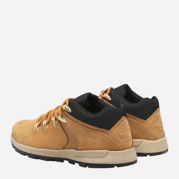 Buty sportowe męskie Timberland Sprint Trekker Low Lace Up TB0A5VJG2311 46 (12US) 30 cm Brązowe (196010513309) - obraz 3