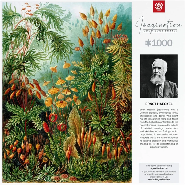 Пазл GoodLoot Imagination: Ernst Haeckel Muscinae 1000 ел. - зображення 4