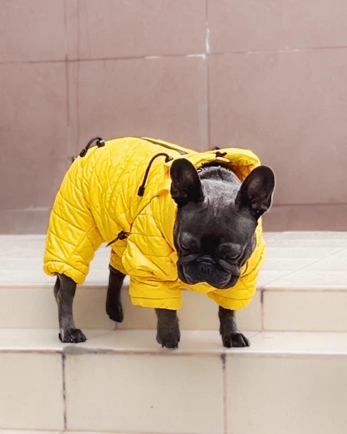 ジャケット・アウター Bulldog 楽天市場】ブルドッグ（コート・ジャケット｜メンズファッション