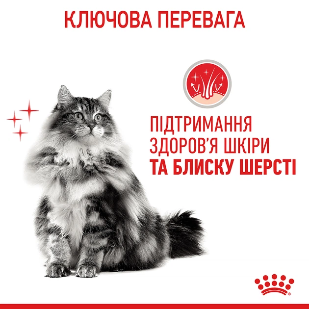 Сухой корм для кошек Royal Canin Hair and Skin Care Здоровья кожи и шерсти, 400 г - изображение 6