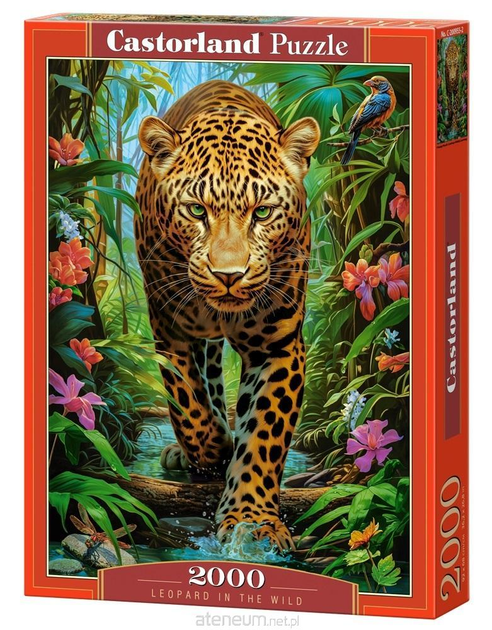 Puzzle Castorland Leopard In The Wild 92 x 68 cm 2000 elementów (5904438200955) - obraz 1