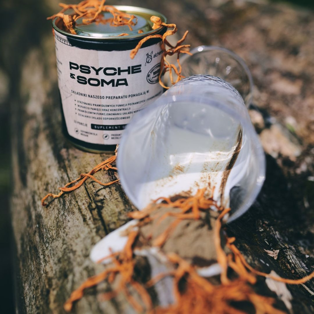 Дієтична добавка Naturaya Urinacea Psyche & Soma 66 г (5904507937522) - зображення 13