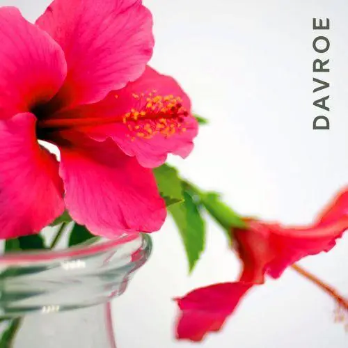 Делікатний відновлювальний кондиціонер DAVROE Repair Senses Revitalizing Conditioner 100 мл - изображение 3