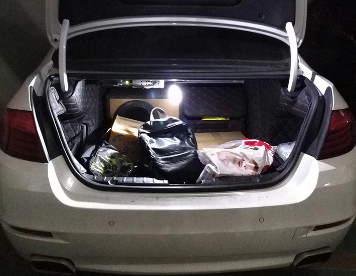 Підсвічування багажника (LED) BMW F10 E65 F01 E70 E71 E85 - зображення 8