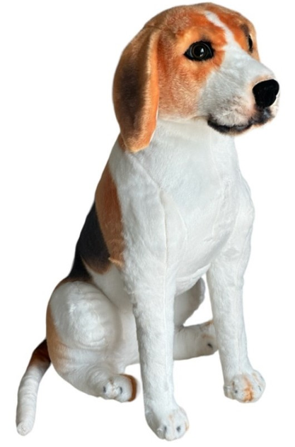 Maskotka Dubi Beagle siedzący 65 cm (5905965330245) - obraz 1