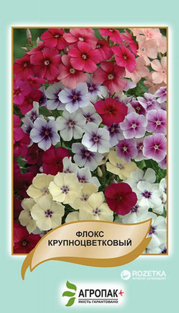 Флокс друмонда крупноцветковый Legutko Смесь (Phlox drummondii ...