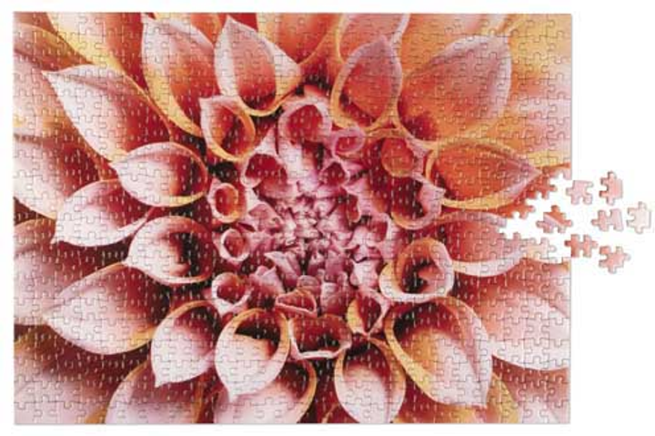 Puzzle Most Wanted Gifts Wildlife Pattern Dahlia 52 x 38 cm 500 elementów (7350108172868) - obraz 2