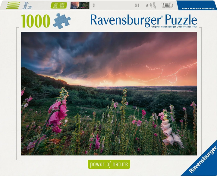 Puzzle Ravensburger Nadchodzi burza 70 x 50 cm 1000 elementów (4005555007937) - obraz 1