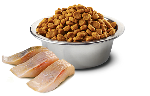 Сухой беззерновой корм для стерилизованных кошек Farmina N&D Grain Free Ocean Cat Herring & Orange Neutered Adult с сельдью и апельсином 5 кг (175582) - изображение 2