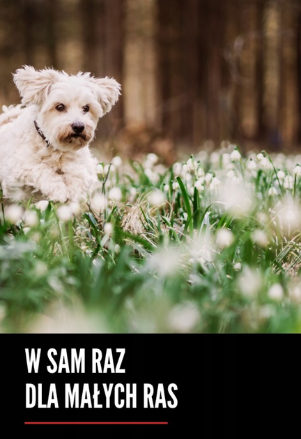 Сухий корм для собак Orijen Small Breed 1.8 кг (0064992714765) - зображення 3