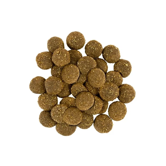 Сухий корм для дорослих собак великих порід Savory Large Breeds Fresh Turkey and Lamb зі свіжою індичкою та ягням 12 кг (30242) - зображення 2