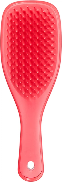 Щітка-детанглер для волосся Tangle Teezer The Wet Detangler Mini