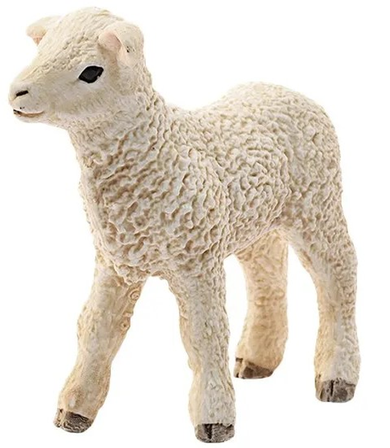 Figurka  Schleich Mała owieczka 13883 (4059433692159) - obraz 3