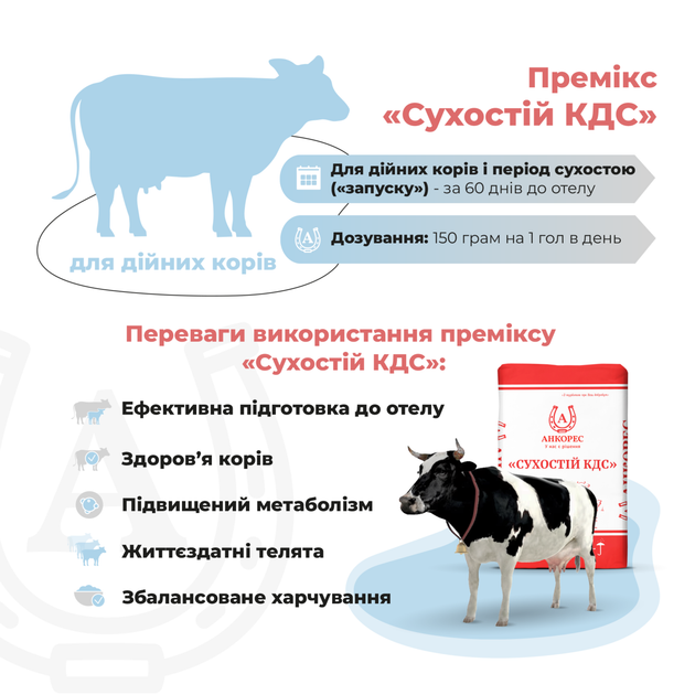Премікс для дійних корів в період сухостою «Сухостій КДС» Ankores (25кг) - 25 кг - Фото 2 Премікс для дійних корів в період сухостою «Сухостій КДС» Ankores (25кг) - 25 кг - зображення 2