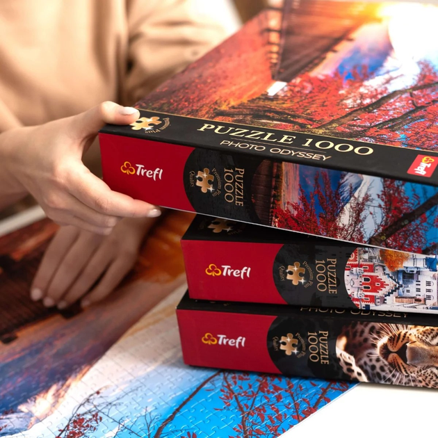 Puzzle Trefl Premium Plus Quality Photo Odyssey: Wieża Cesta San Marino 1000 elementów (5900511108224) - obraz 4