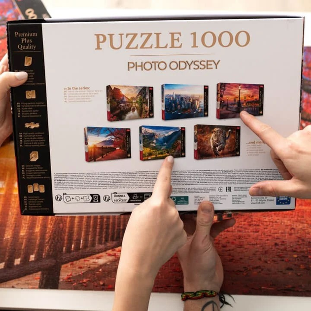 Пазл Trefl Premium Plus Quality Photo Odyssey: Ейфелева вежа Париж Франція 1000 елементів (5900511108156) - зображення 5