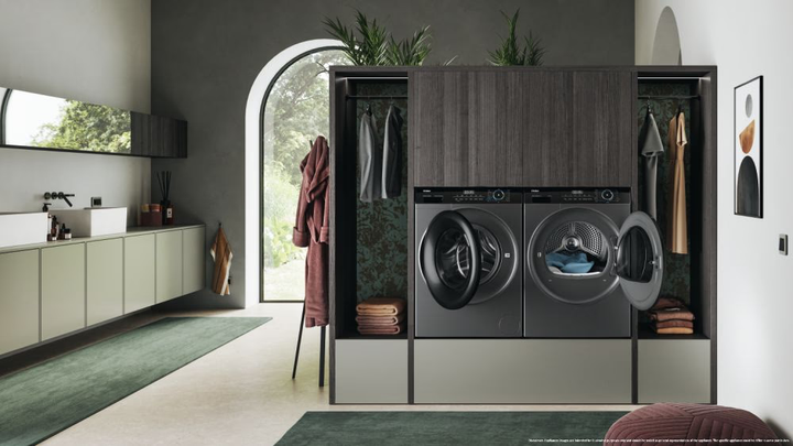 Сушильний автомат Haier HD90-A3939R-S (7025066) - изображение 5