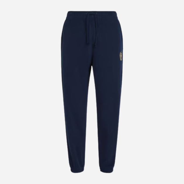 Спортивні штани чоловічі Tommy Hilfiger DM0DM19805-C1G L Темно-сині (8720637302767) - зображення 4