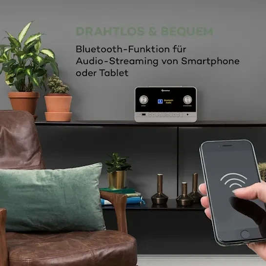Интернет радио Auna connect 150 под дерево (10037493) - изображение 3