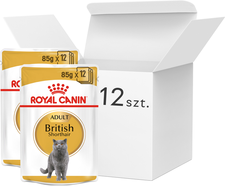 Mokra karma dla dorosłych kotów Royal Canin Adult British Shorthair 12 x 85 g (9003579001240) - obraz 1