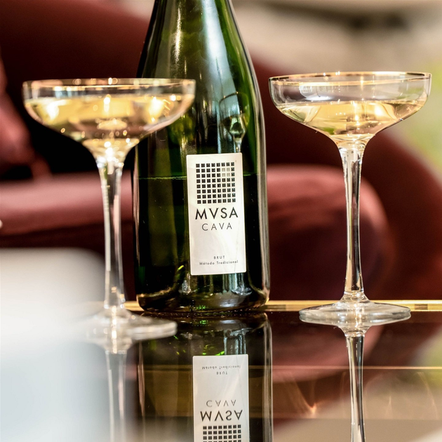 Вино ігристе MVSA Cava DO brut Vallformosa біле cухе 0.75 л 11.5% (8413216151138) - зображення 3