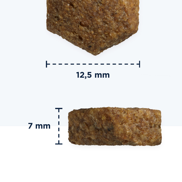 Sucha karma dla psa Eukanuba Szczenie duża rasa bez zbóż Ryba oceaniczna 3 kg (8710255184791) - obraz 4
