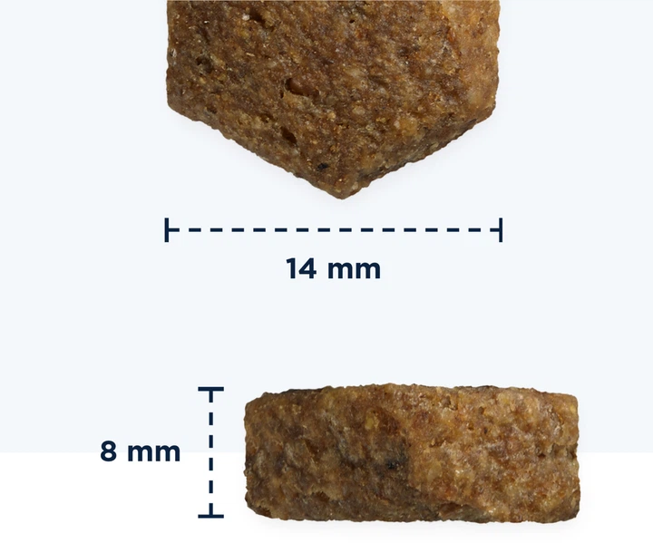 Sucha karma dla psa Eukanuba Adult Salmon & Barley 12 kg (8710255168883) - obraz 3
