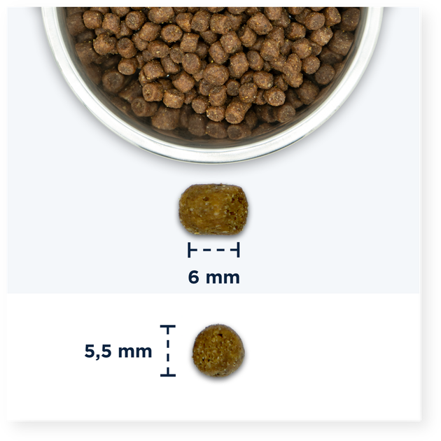 Sucha karma dla kota Eukanuba Kitten Kocięta Kurczak 10 kg (8710255121673) - obraz 3