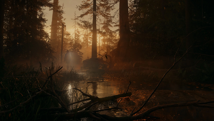 Гра Sony PlayStation 5 Alan Wake 2 Deluxe Edition Українські Субтитри Б/У - зображення 3