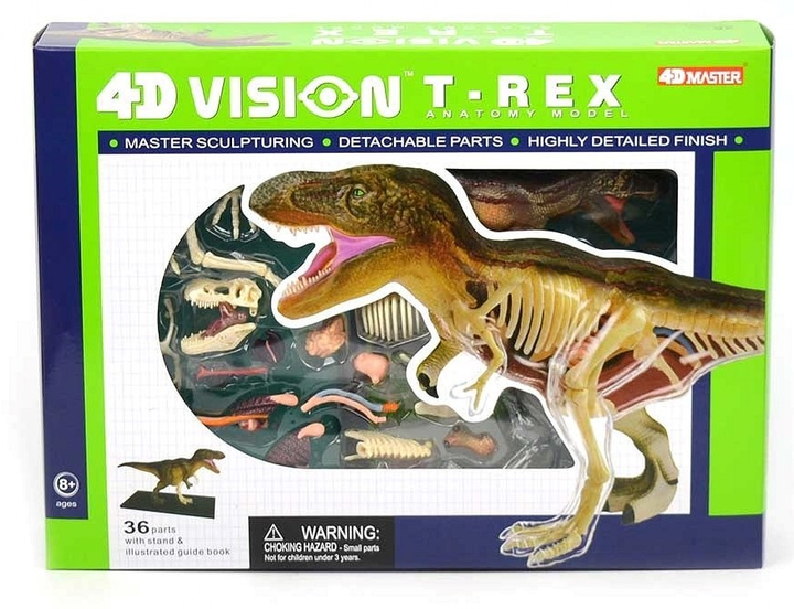 Zestaw do zabawy naukowej Robetoy Anatomia zwierząt Dinozaur T-Rex 38 cm (7300009260751) - obraz 1