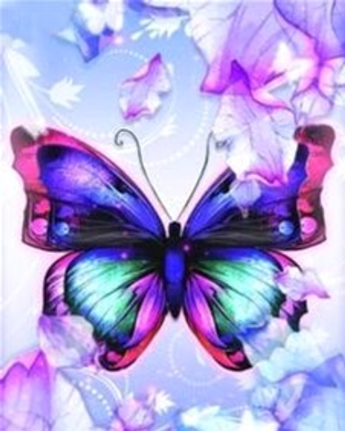 Картина за номерами Dp Craft Butterfly 40 х 50 см (5902444056382) - зображення 1