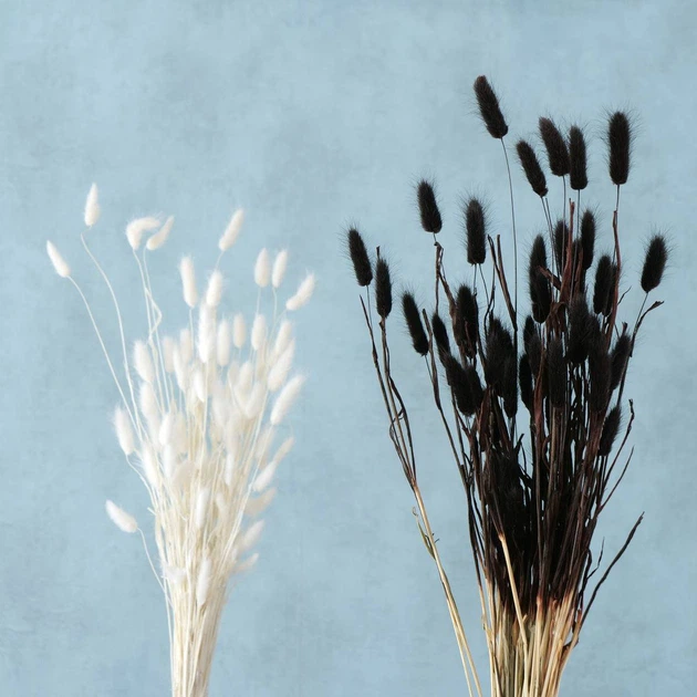 Гілочки для вази Boltze декоративні сушені чорні 70 см (5902973433968) - зображення 3